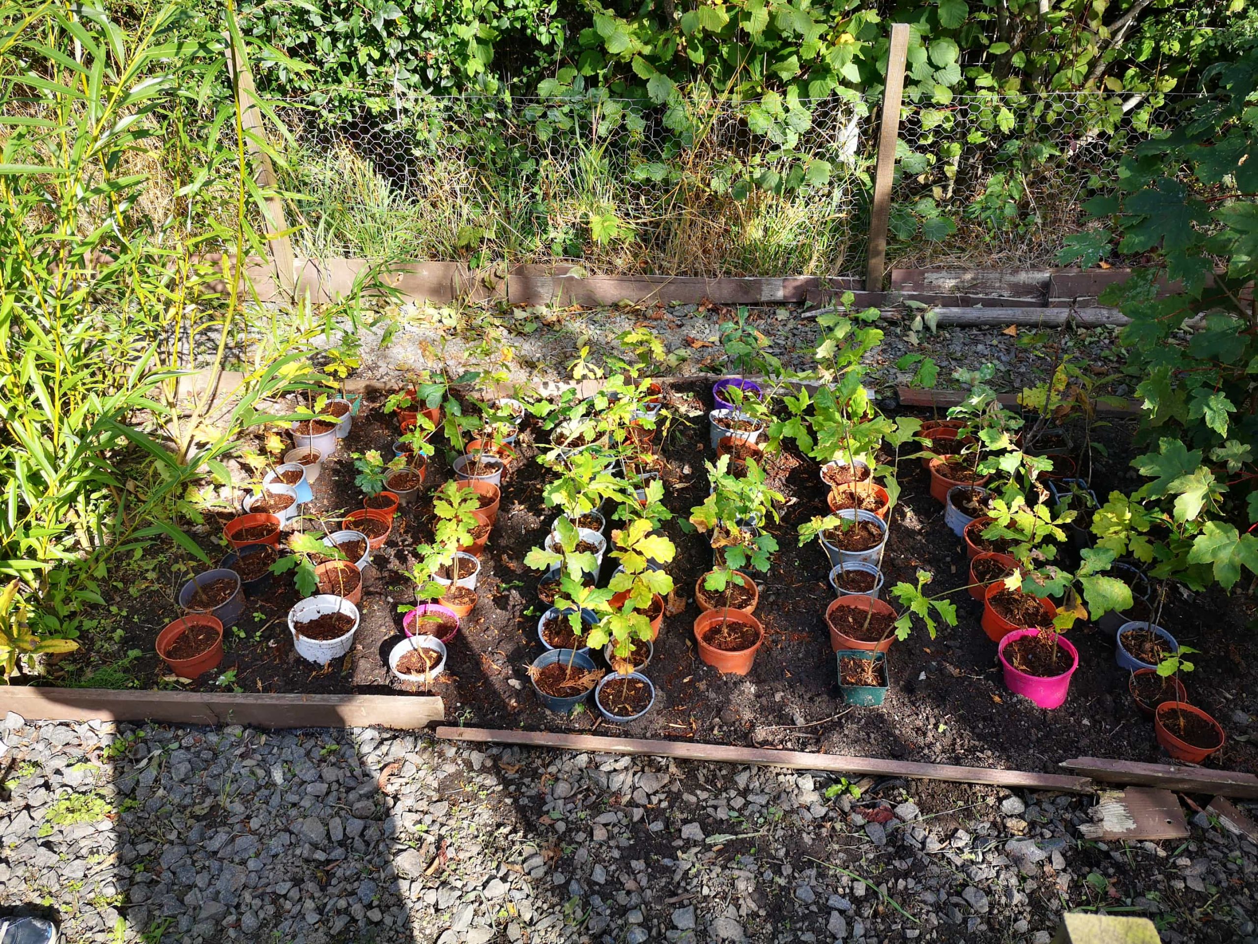 Series of brightly coloured pots